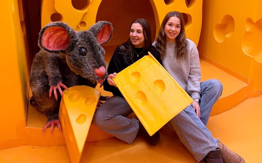 The Happiness Museum