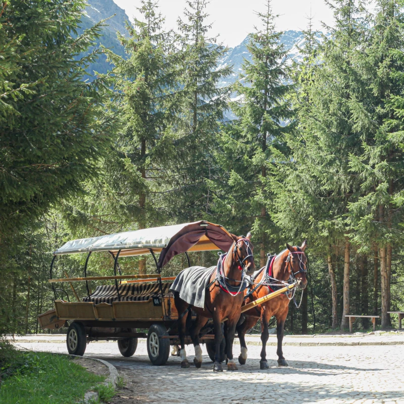 Zakopane Summer chalet